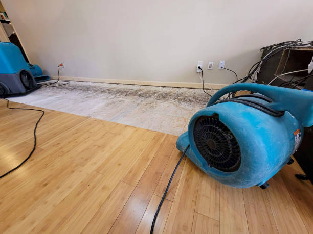Professional Basement Flood Cleanup technician working in Glasgow, WV